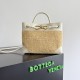 Bottega Veneta Small Andiamo
