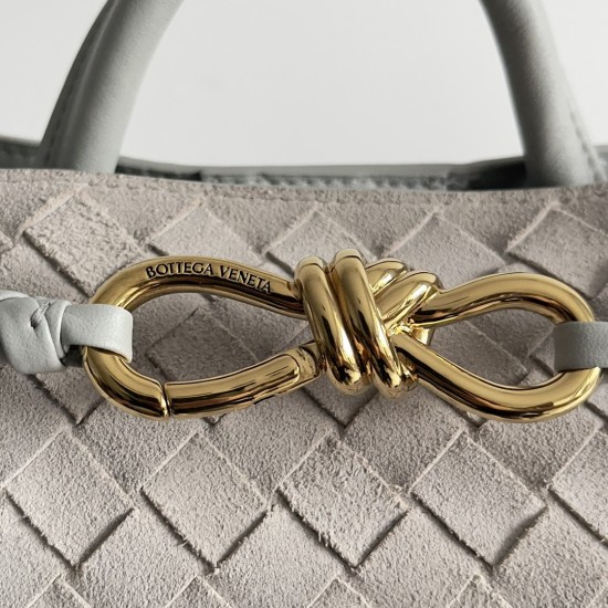 Bottega Veneta Small Andiamo