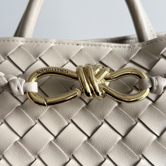 Bottega Veneta Small Andiamo