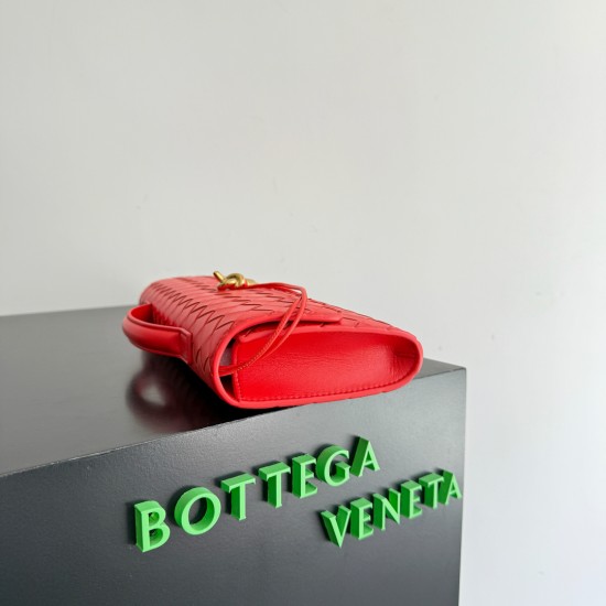 Bottega Veneta Andiamo Clutch