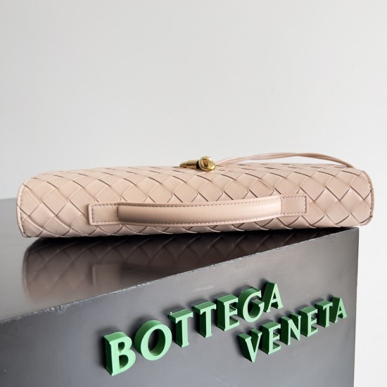 Bottega Veneta Andiamo Clutch