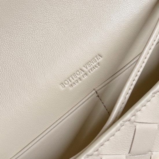 Bottega Veneta Andiamo Pouch