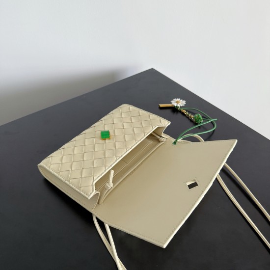 BottegaVeneta Andiamo Daisy Pouch