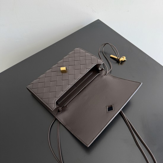 Bottega Veneta Andiamo Pouch