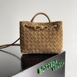 Bottega Veneta Small Andiamo