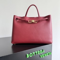 Bottega Veneta Medium Andiamo