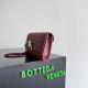 BottegaVeneta Andiamo Daisy Pouch