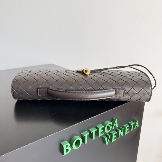 Bottega Veneta Andiamo Clutch