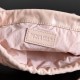 Bottega Veneta Small Dustbag