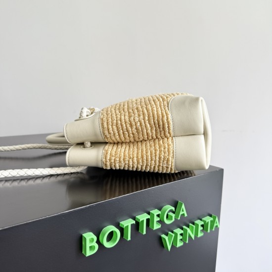 Bottega Veneta Small Andiamo