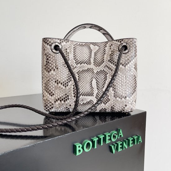 Bottega Veneta Small Andiamo