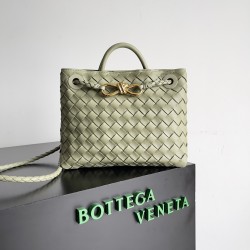 Bottega Veneta Small Andiamo