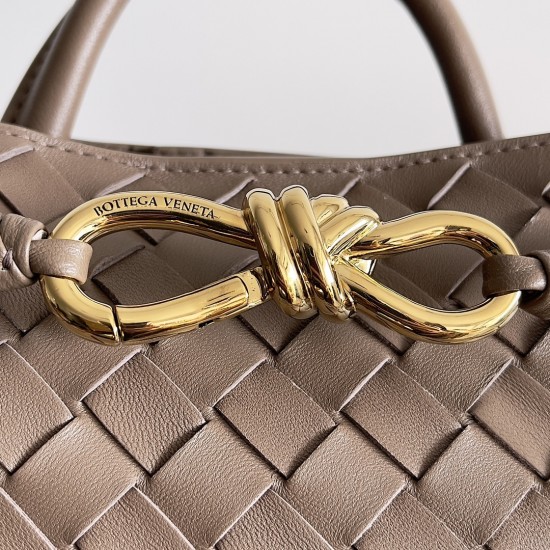 Bottega Veneta Small Andiamo