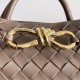 Bottega Veneta Small Andiamo