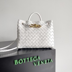 Bottega Veneta Small Andiamo