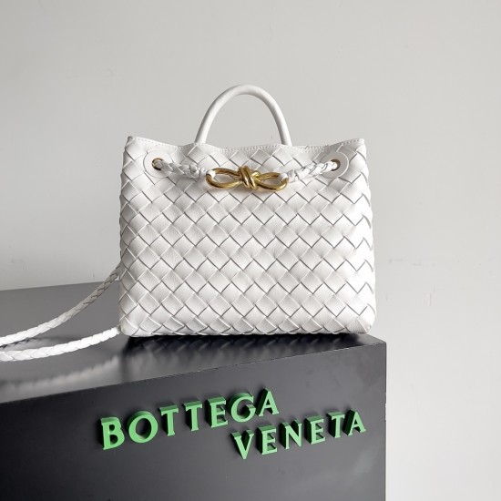 Bottega Veneta Small Andiamo
