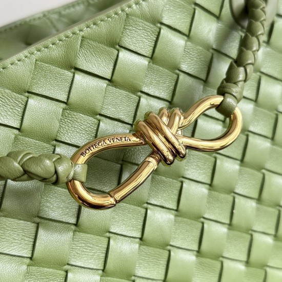 Bottega Veneta Small Andiamo