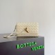 Bottega Veneta Andiamo Pouch