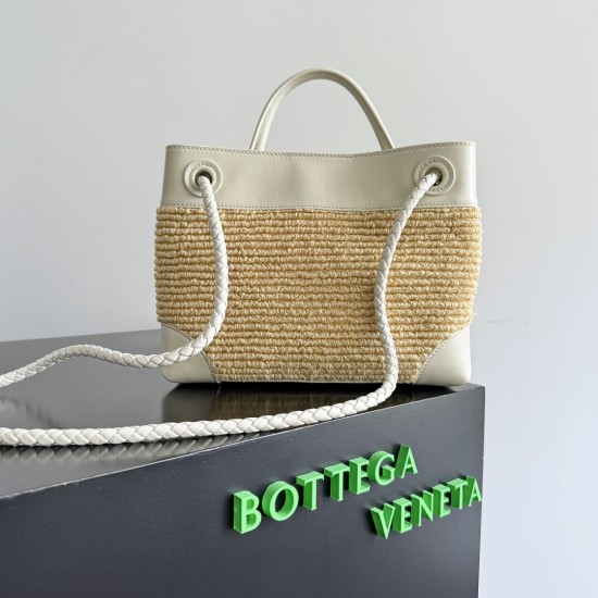Bottega Veneta Small Andiamo