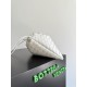 Bottega Veneta Dustbag