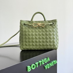Bottega Veneta Small Andiamo