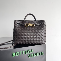 Bottega Veneta Small Andiamo