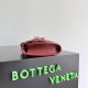 Bottega Veneta Andiamo Clutch