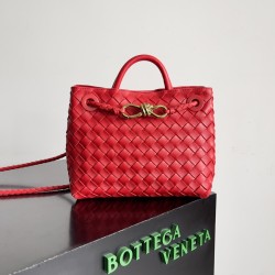 Bottega Veneta Small Andiamo