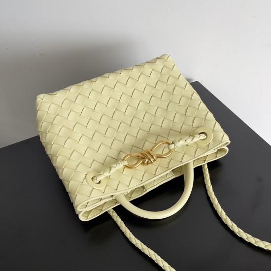 Bottega Veneta Small Andiamo