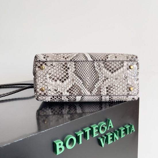 Bottega Veneta Small Andiamo