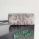 Bottega Veneta Small Andiamo