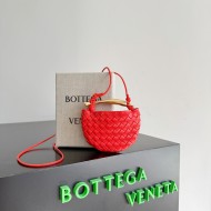 Bottega Veneta Miniature Sardine