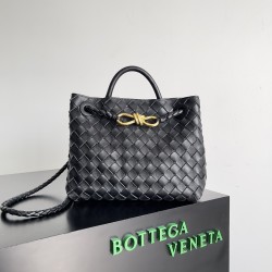 Bottega Veneta Small Andiamo