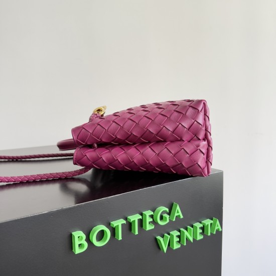 Bottega Veneta Small Andiamo
