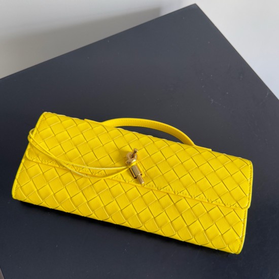 Bottega Veneta Andiamo Clutch