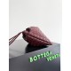 Bottega Veneta Dustbag