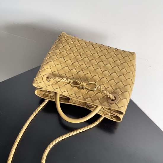 Bottega Veneta Small Andiamo