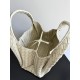 Bottega Veneta Campana