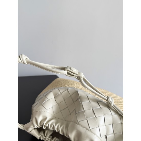 Bottega Veneta Dustbag