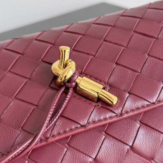 Bottega Veneta Andiamo Pouch