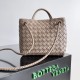 Bottega Veneta Small Andiamo