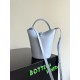 Bottega Veneta Small Liberta Bucket