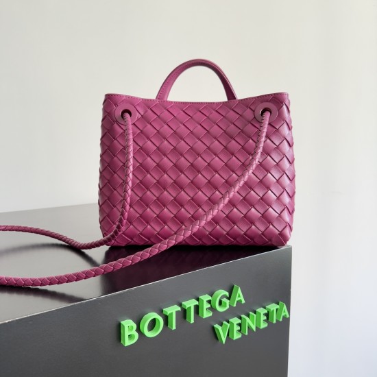 Bottega Veneta Small Andiamo