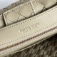 Bottega Veneta Small Andiamo