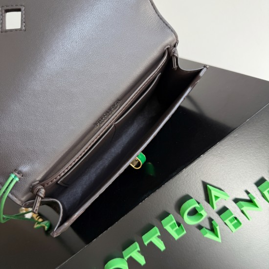 BottegaVeneta Andiamo Daisy Pouch