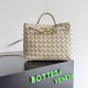 Bottega Veneta Small Andiamo