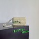 BottegaVeneta Andiamo Daisy Pouch
