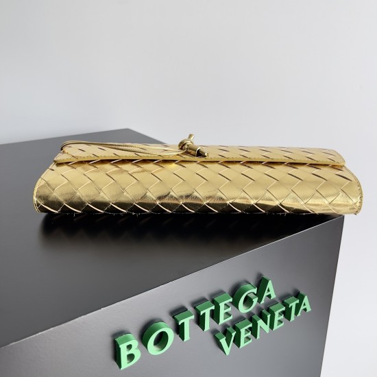 Bottega Veneta Andiamo Clutch