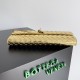 Bottega Veneta Andiamo Clutch