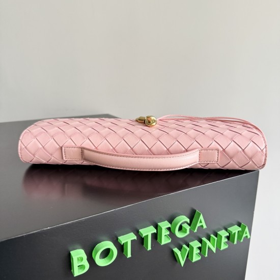 Bottega Veneta Andiamo Clutch